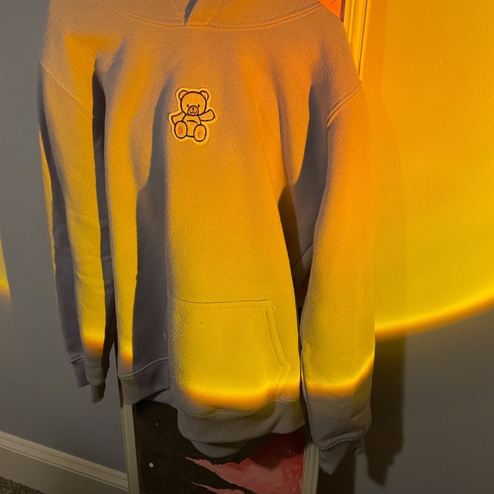 Pink bear and light blue kids hoodie